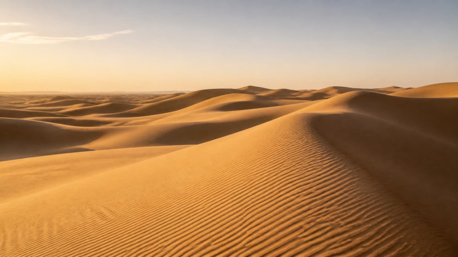 Dunes de sable aux teintes chaudes sous une lumière matinale