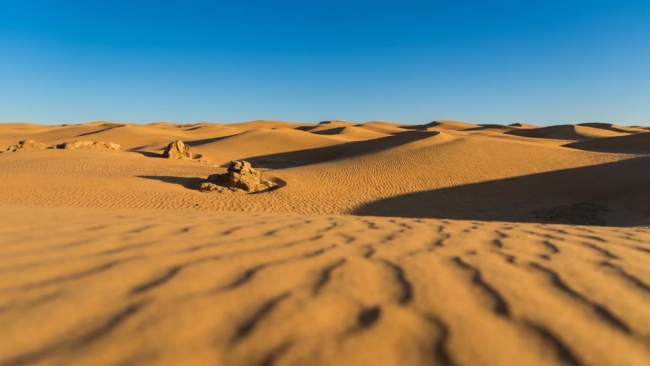 Illustration de l'article « Un manhaj pur sans ambiguïté... »