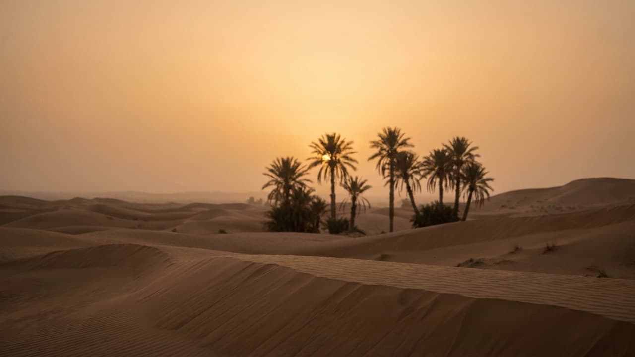 Illustration de l'article « Les invocations du Prophète ﷺ et le secours divin à Badr »