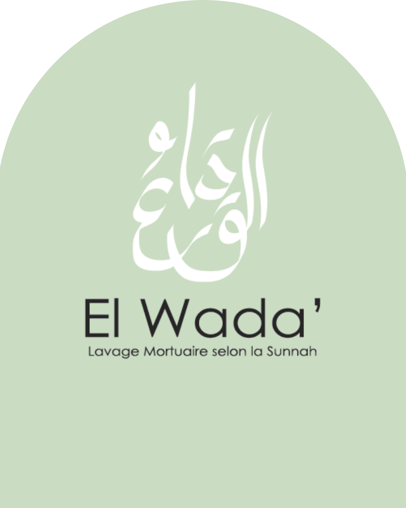 Association Wada3